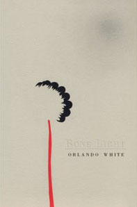 cover of Bone Light