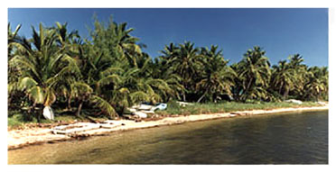 Cook Island