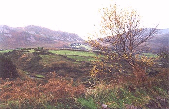 Kerry view